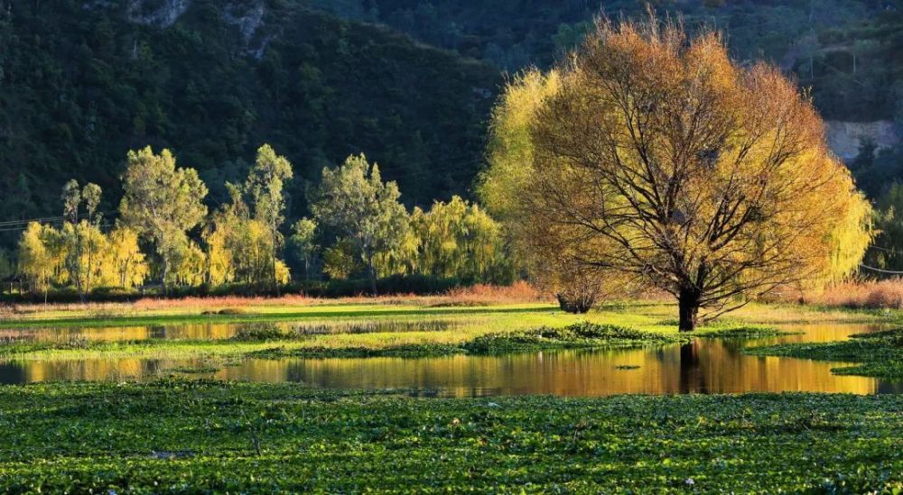 大美楚雄丨大姚永丰湖冬色美如画_腾讯新闻