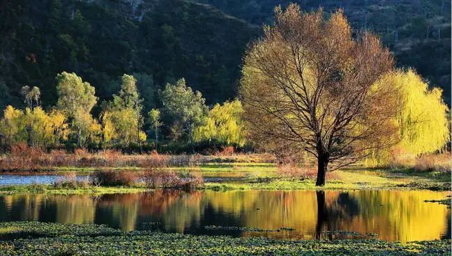 大美楚雄丨大姚永丰湖冬色美如画_腾讯新闻