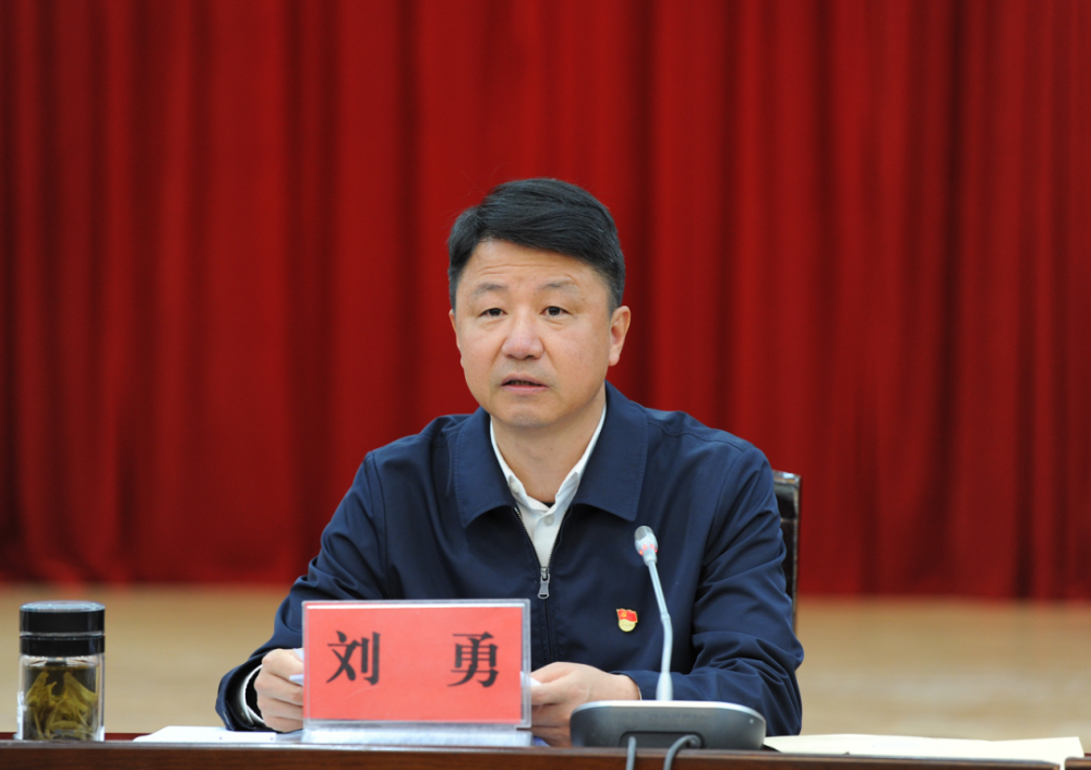 刘勇:深入学习贯彻党的二十大精神 坚定不移推进全面从严治党