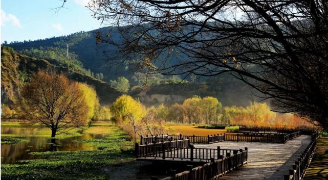 来源丨大姚县融媒体中心摄影丨徐明,李长元编辑丨杨芬审核丨茶军 李彦