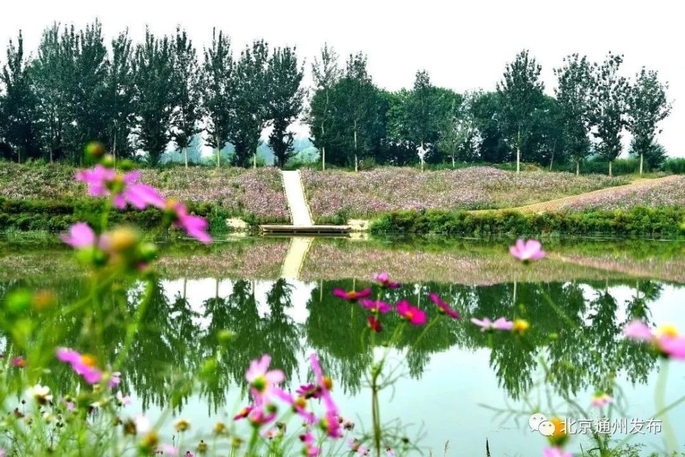 通州这条河段入围“北京优美河湖”！快为它投上您宝贵一票——众荟林小俊