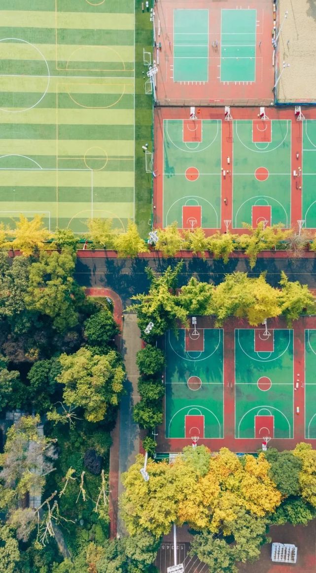 成都体育学院手机壁纸图片