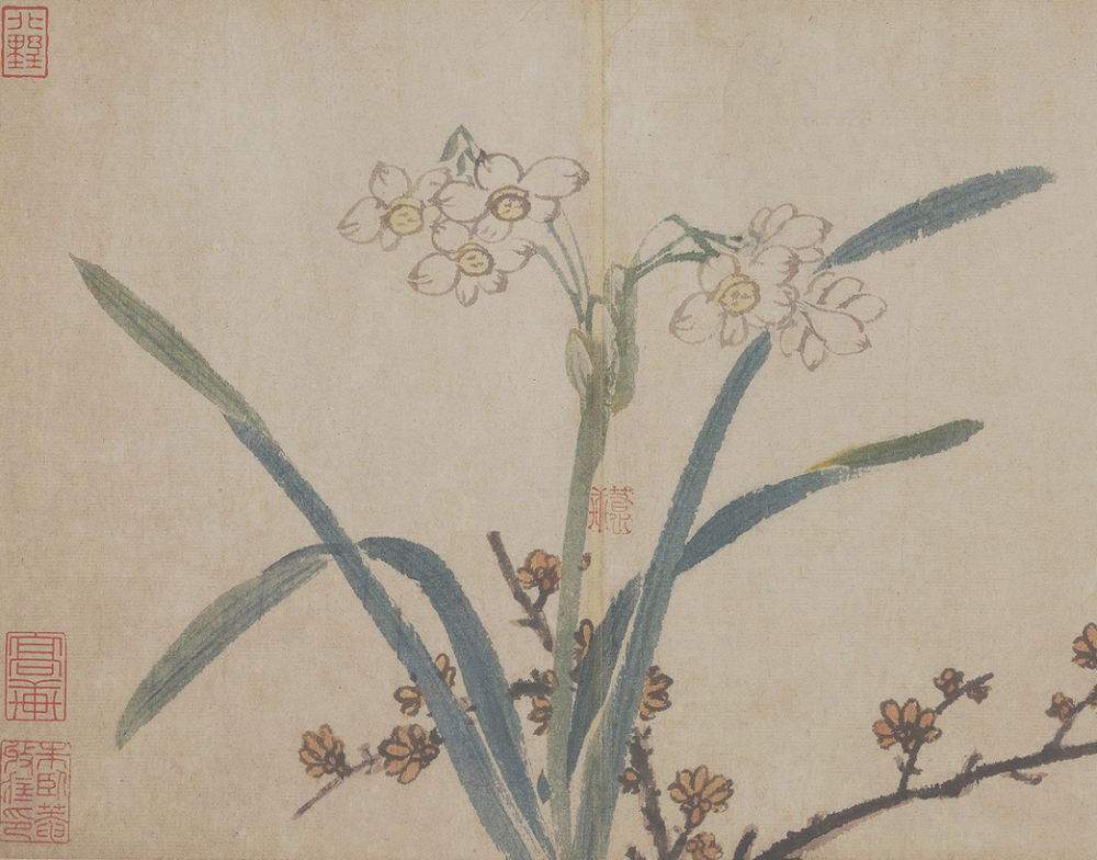 水仙陈淳 书画图明 周天球 水仙明 周天球 水仙汪士慎 湖石水仙图佚名