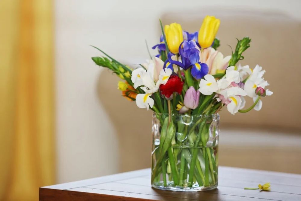 鲜切花怎样才能持久美丽 这些 偏方 你试过吗 腾讯新闻