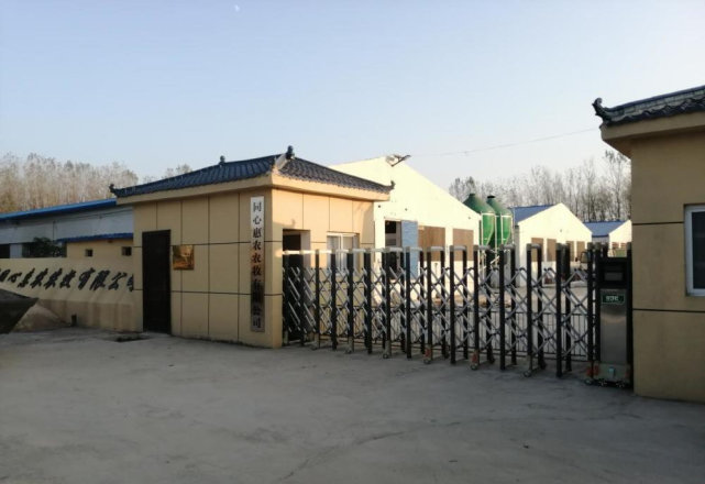 驻马店市正阳县大林镇:一养殖场污染乱象 属地监管缺失?