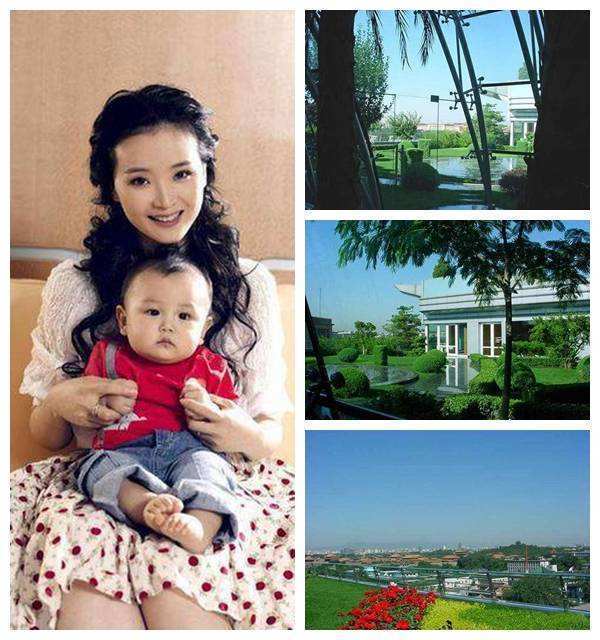 演员王艳:比起豪门夫家,她最该感谢曾不在意的事业拯救了自己