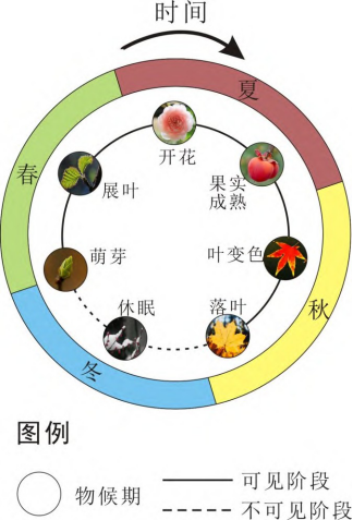刘亚辰等唐宋诗歌中物候记录的规律总结及其对环境的指示意义
