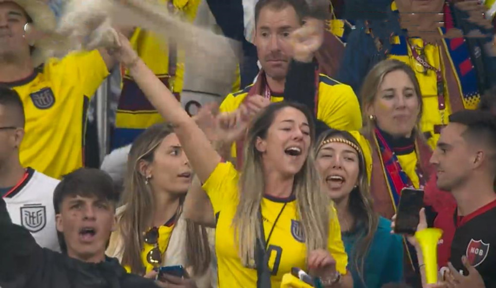 卡塔尔人捂脸，厄瓜多尔的美女球迷当众掀衣，世界杯真是视觉盛宴佩奇对啥名好
