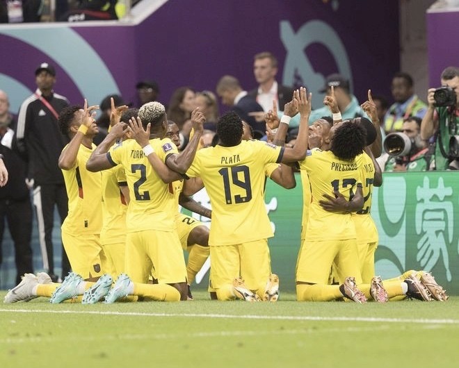 世界杯揭幕战卡塔尔输球创历史厄瓜多尔全队跪地纪念离世队友猿辅导评论