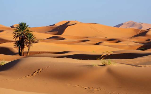 卡塔尔有多大?面积:仅相当于我国的青岛