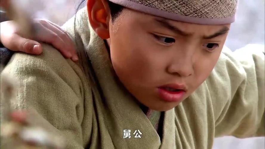 岳飞昭雪后,宋孝宗为其赐名岳霆,官授朝散大夫,监潭州(今湖南长沙)守