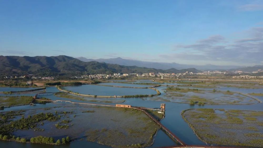 惠东铁涌镇:挖掘生态资源优势 推动乡村旅游发展_腾讯新闻