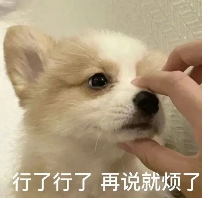 減肥手術有什么危害_減肥手術哪種效果好_手術減肥