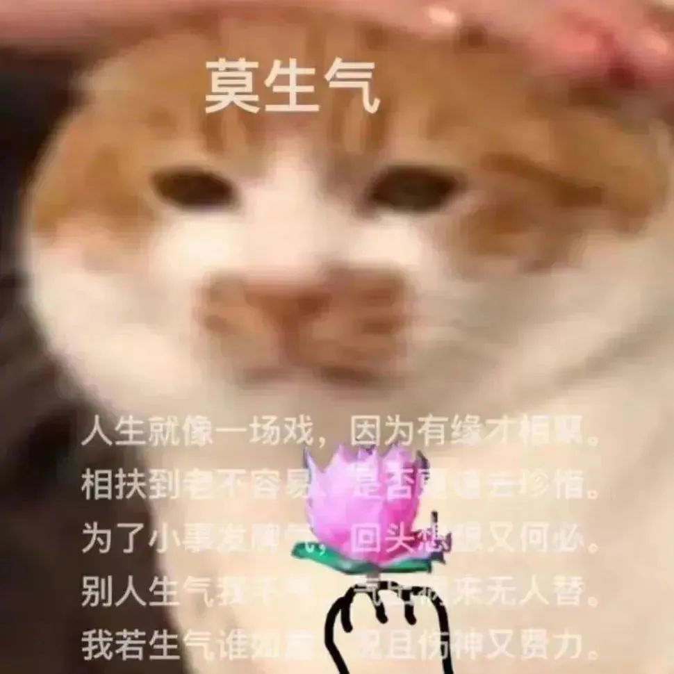 減肥手術哪種效果好_減肥手術有什么危害_手術減肥