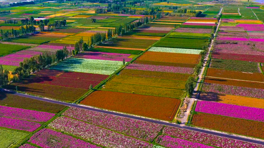 瓜州县三道沟镇三道沟村荣登2022年中国美丽休闲乡村名单_腾讯新闻