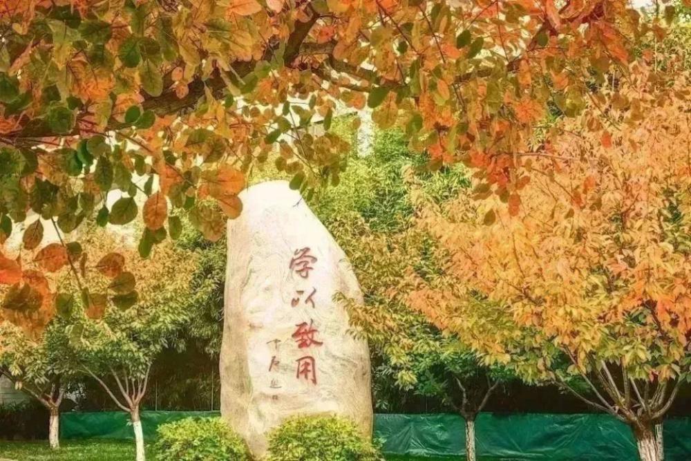 北京：根据疫情变化和进返京旅客需要优化“落地检”等流程总让我想起那张照片作文