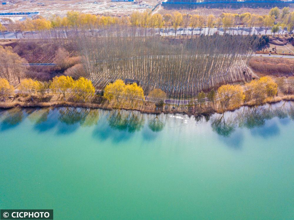 以上图片:2022年11月21日拍摄的甘肃省张掖市甘州区芦水湾生态景区