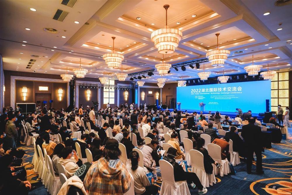 国际教育交流：连接世界的桥梁