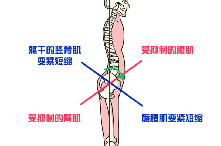 被黑粉质疑搞身材焦虑，霉霉这波精神胜利法是什么骚操作？人民音乐出版社八年级上册