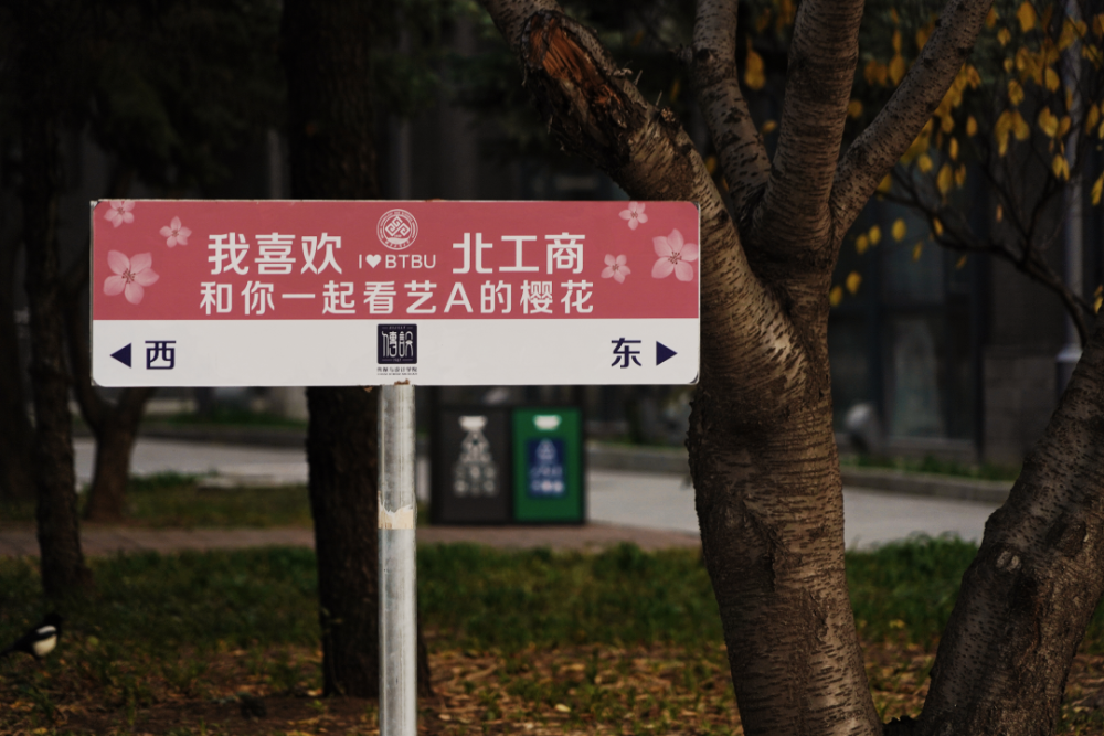 北京：新国展轻症方舱医院目前已投入使用000859国风塑业