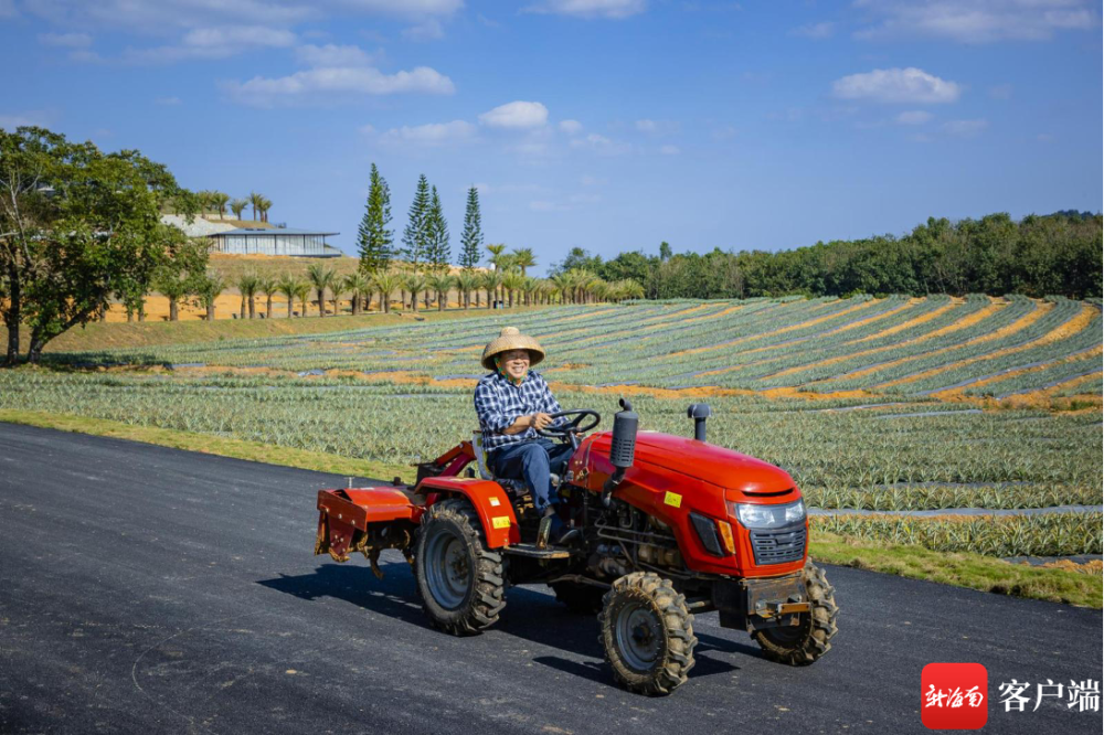 嘉禾农业:推动一二三产融合,打造乡村振兴"海南样本"-腾讯新闻