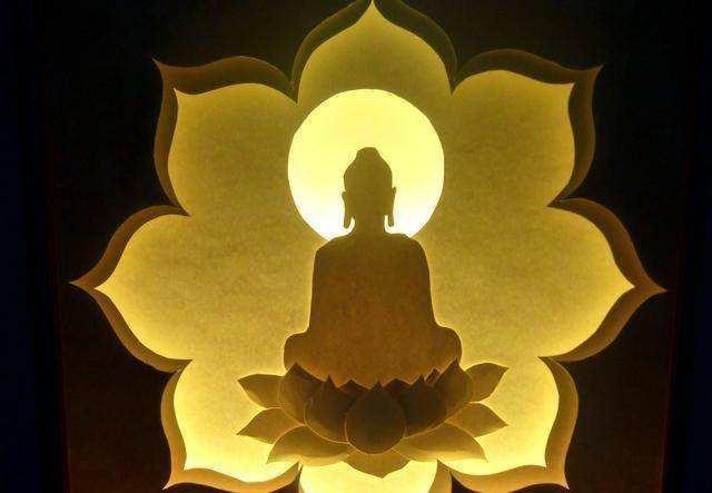 为何佛教用莲花而不是荷花?荷与莲两者之间到底有什么根本区别?