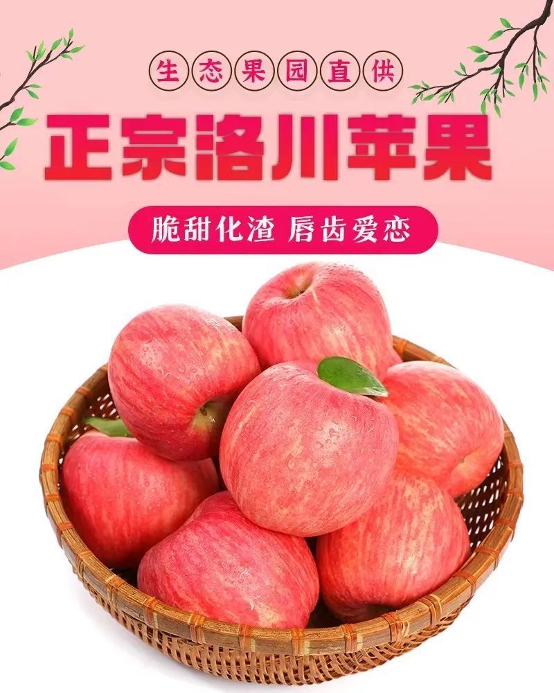 正宗的洛川苹果到底有多好吃没错就是小时候的味道