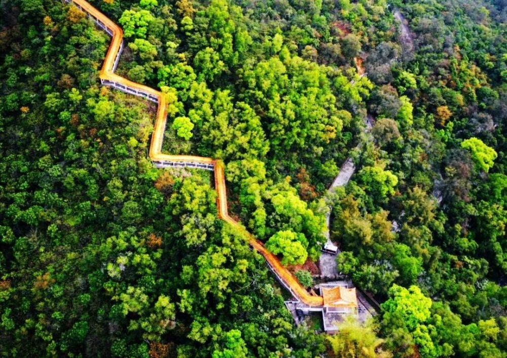 徐卫良 摄如今,鳌峰山下还建成了新的博物馆和图书馆,成为恩平城区