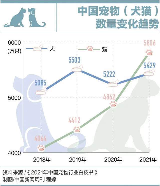 因为看病贵，他们放弃了自己的宠物听课做题