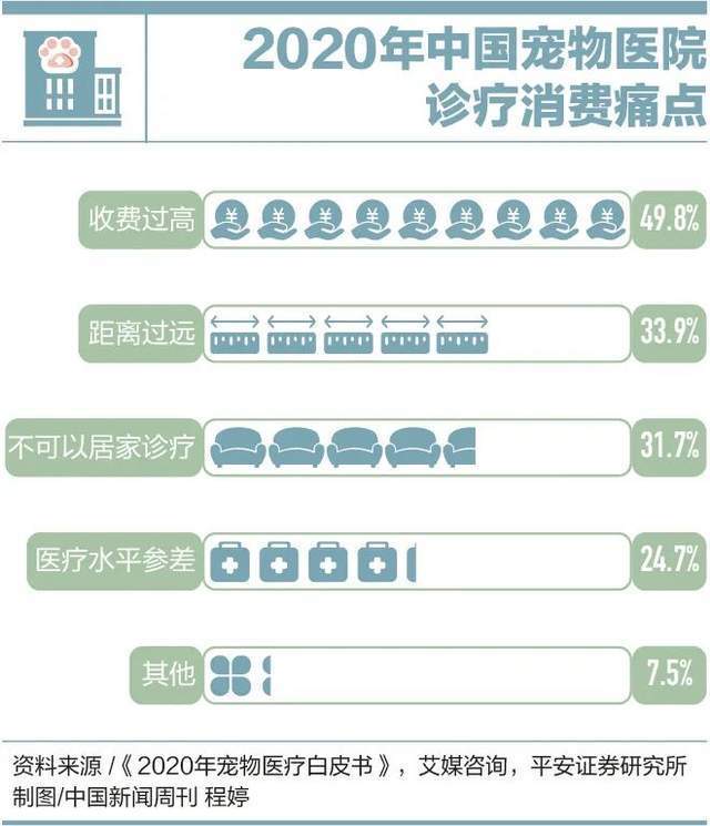 因为看病贵，他们放弃了自己的宠物听课做题