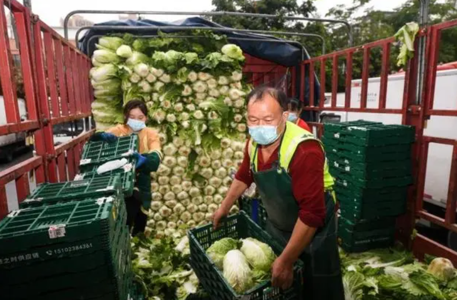 侠客岛：本应端上餐桌的蔬菜全毁在地里，随意封路与中央精神背道而驰一年级天平等量代换题