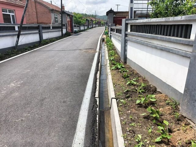 【新时代新征程新伟业】柳河镇水背村:绘就乡村振兴新画卷