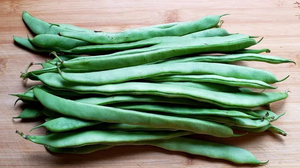 局发布预防四季豆中毒的风险提醒:四季豆又名扁豆,云豆,刀豆,梅豆等