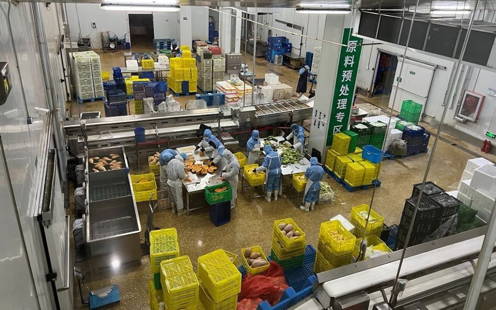 闭环管理保证供应小汤山蔬菜基地每天25吨蔬菜供京国家玮语文2020