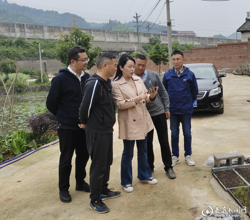 (图为娄底市委农办主任,市农业农村局党组书记,局长杨萍在娄星区向