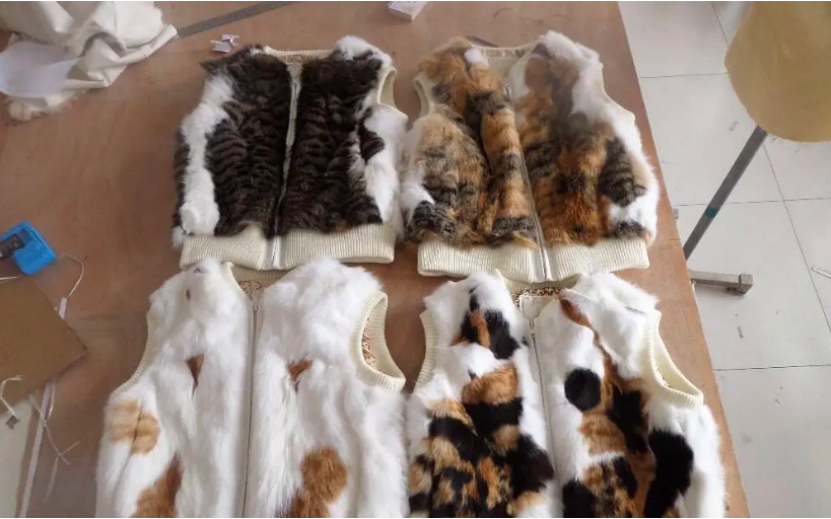 主播带货"猫皮大衣",活剥20只猫做成?_腾讯新闻