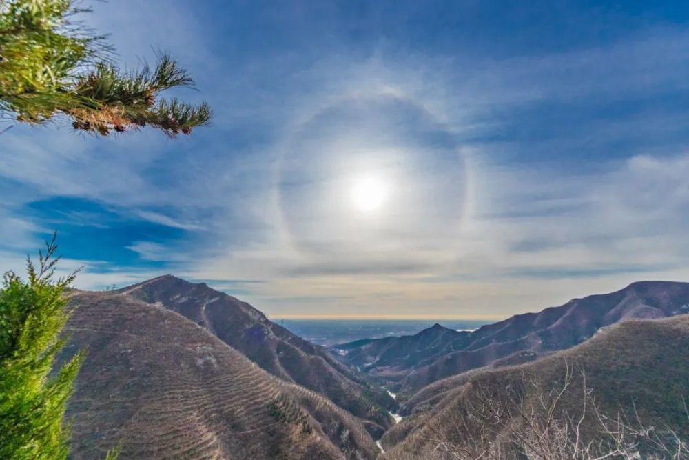 近些年,隨著生態的轉好,紅尾藍鵲,黃腹山雀,山噪鶥等鳥類均在此安家.