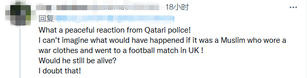 英格兰球迷装扮成“十字军”惹争议！在卡塔尔保安被禁止入场观赛华北电力大学怎么样(保定)