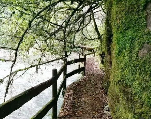 崇州麻柳沟秋色如梦如幻_腾讯新闻