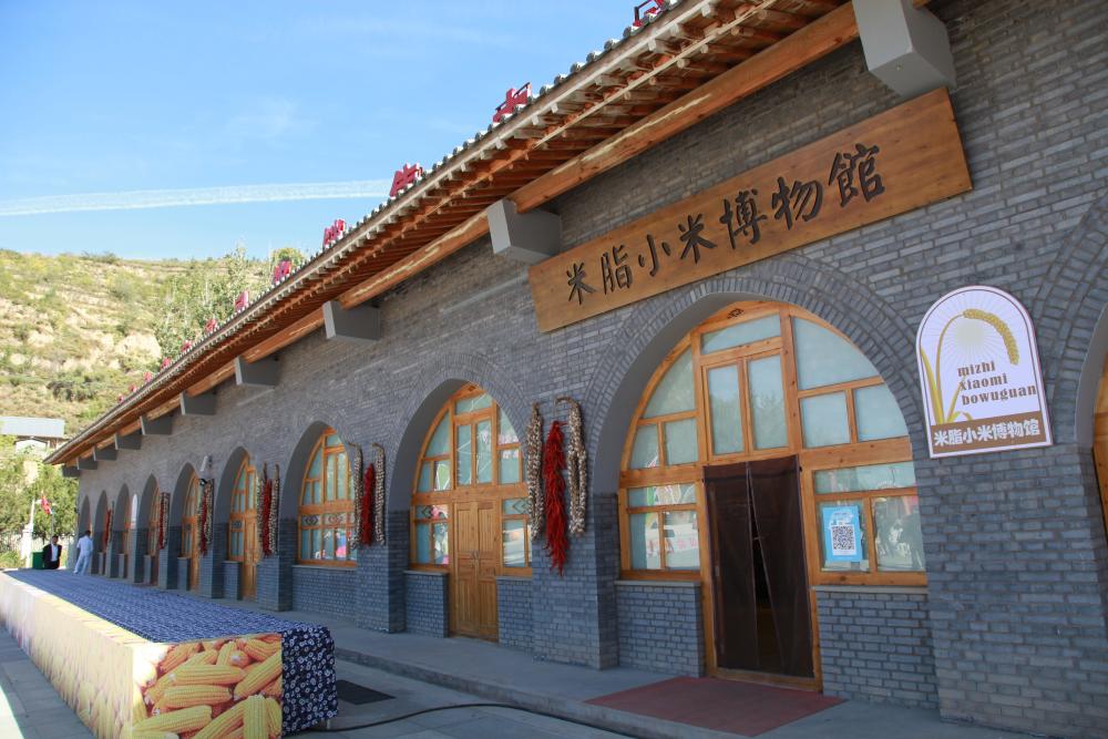 了解"小米文化" 来米脂小米博物馆