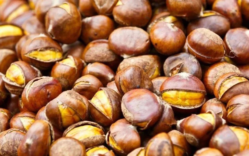 从糖炒野山栗想起_腾讯新闻