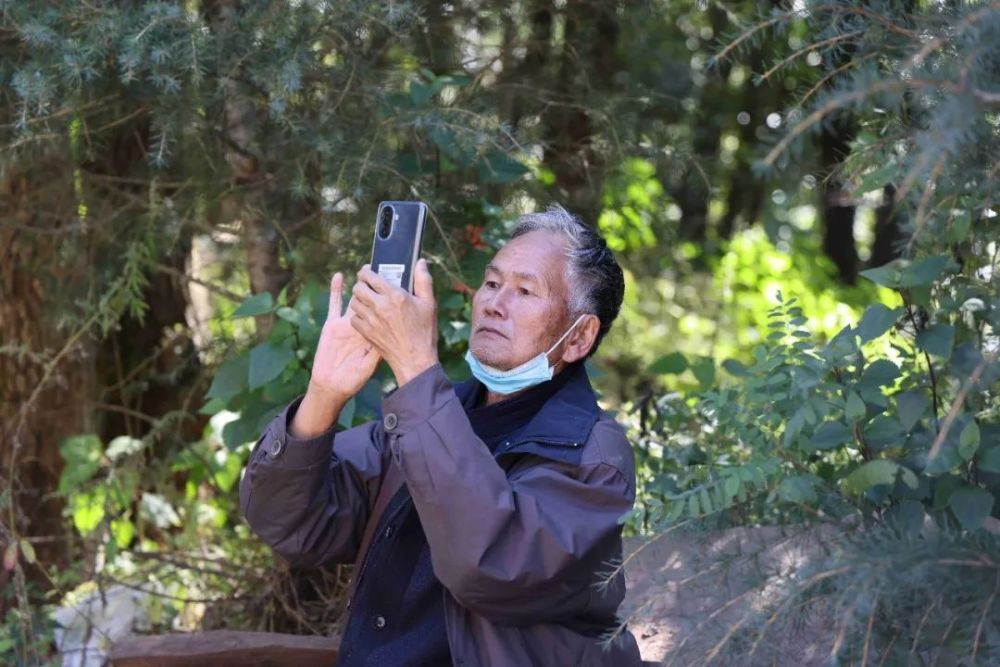 【行攝賓川】雞足山放光寺,一樹樹的野果