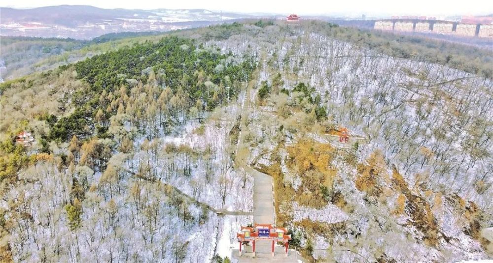 【美丽辽源 创城在行动】向阳山又添新变化 四季各有好风景_腾讯新闻