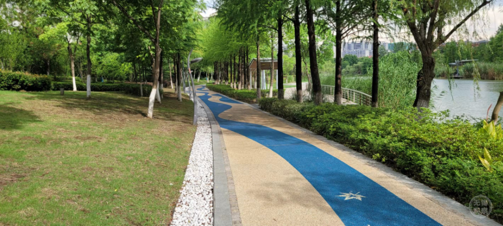 提升新城韧性这个滨水海绵生态廊道做到了