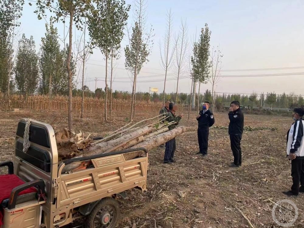 著名麻风病防治专家李桓英逝世，享年101岁私教课有用吗