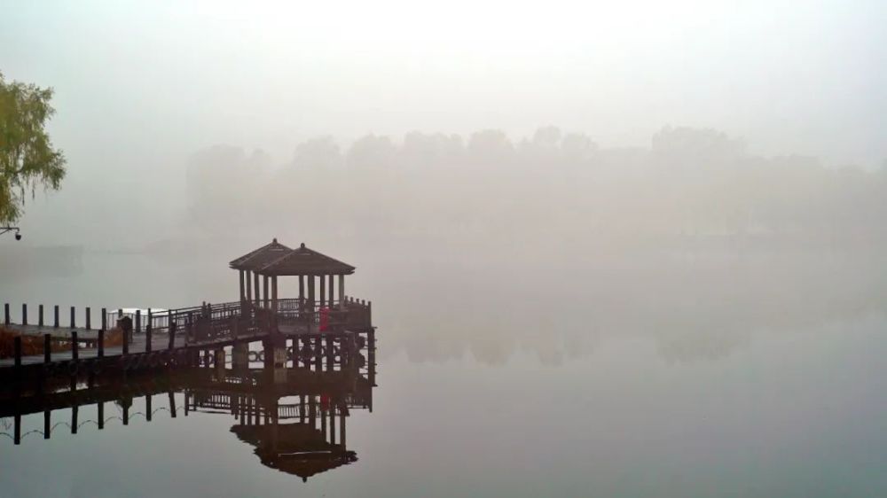 汉石桥湿地：刻在三代人生命里的64年盒子鱼英语免费