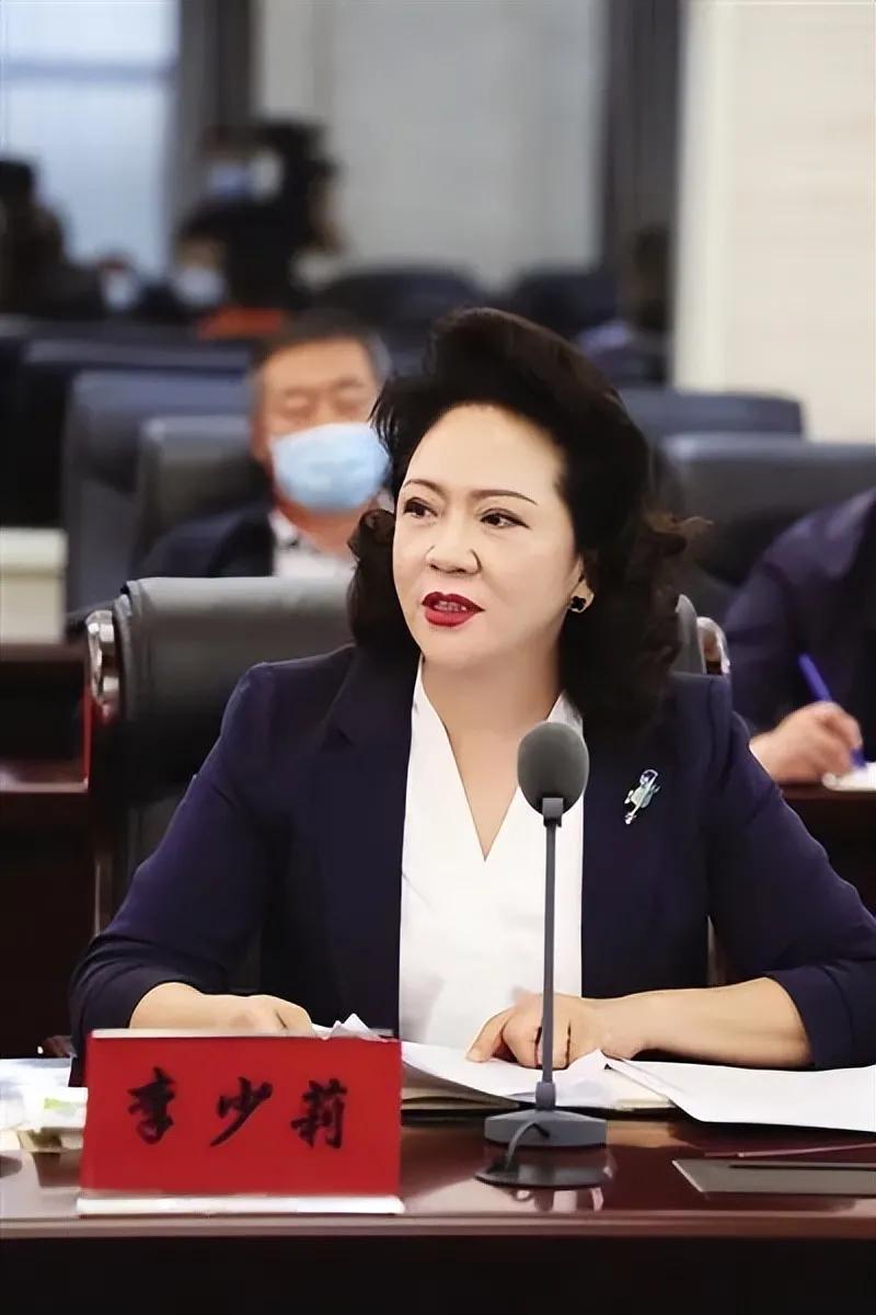 美女局长李少莉走红!戴3万元耳钉和lv丝巾,被质疑奢侈品插图3