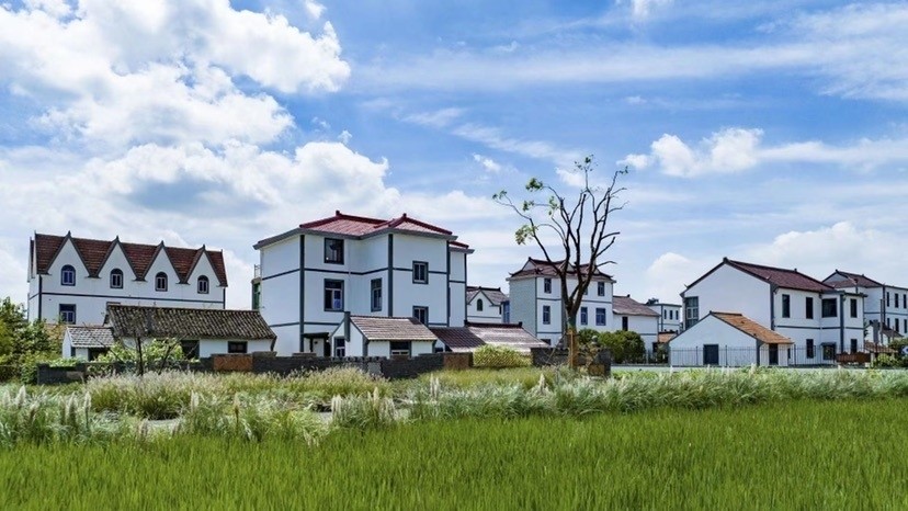 乡村振兴赶考路上的尖子生 上海浦东书院镇外灶村是怎么"冒"出来的?