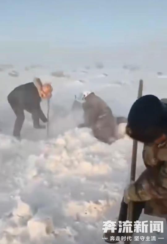 罕见暴风雪袭击新疆阿勒泰，多部门出台救助措施减少牧民受灾损失一个月大兔子吃胡萝卜可以吗