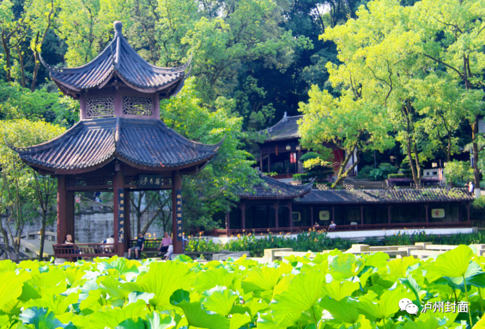 龍馬潭公園將迎來大變身